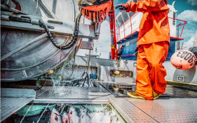 Update from Bristol Bay- Wild Alaska Salmon Season: 7-22-21