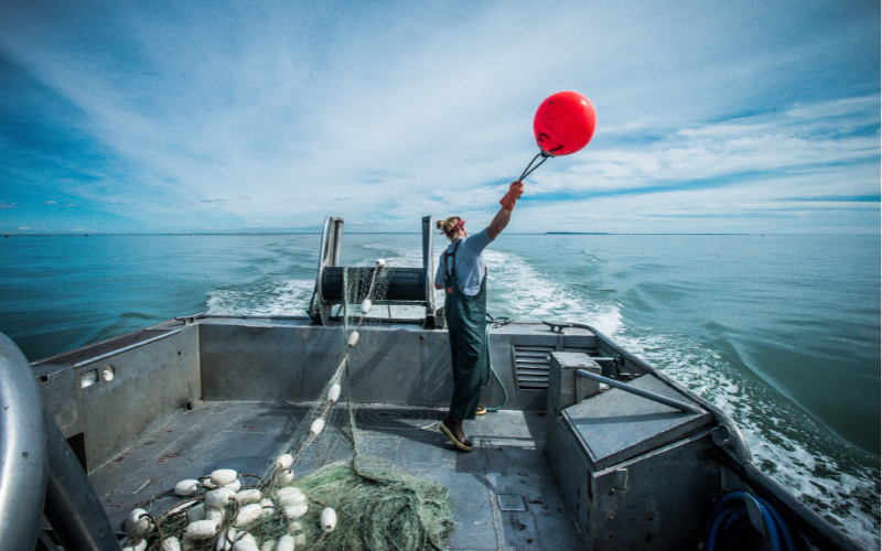 Update from Bristol Bay- Wild Alaska Sockeye Salmon Season: 6-19-2019