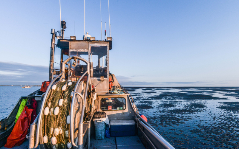 Update from Bristol Bay- Wild Alaska Sockeye Salmon Season: 6-12-2019