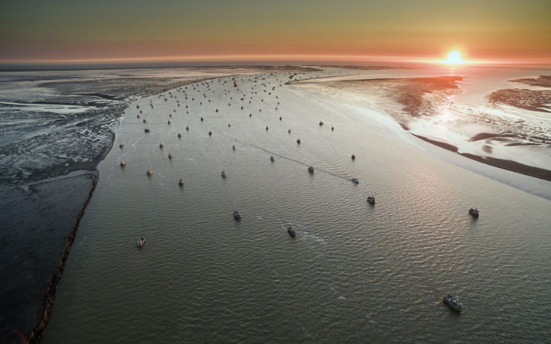 Update from Bristol Bay- Wild Alaska Sockeye Salmon Season: 7-3-2019