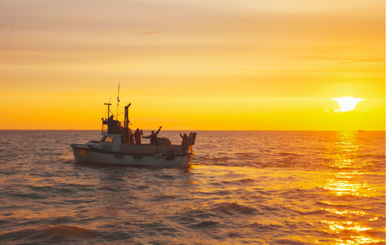 Update from Bristol Bay- Wild Alaska Sockeye Salmon Season: 7-2-2021