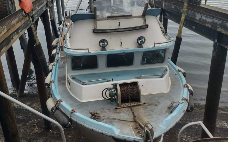 Preseason Bristol Bay Update: 6-11-2022