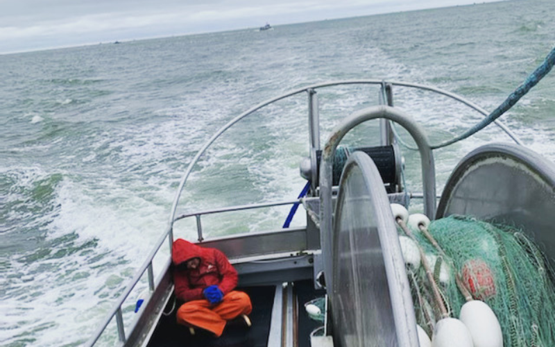 Update from Bristol Bay- Wild Alaska Salmon Season: 7-10-2022