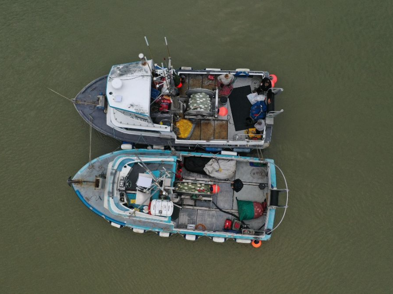 Update from Bristol Bay- Wild Alaska Salmon Season: 6-25-2025