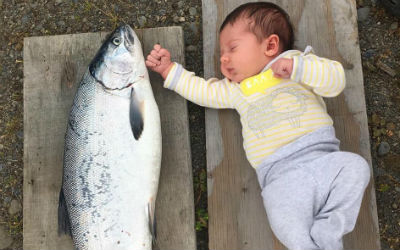 Why Does Wild Seafood Make You Feel So Great?