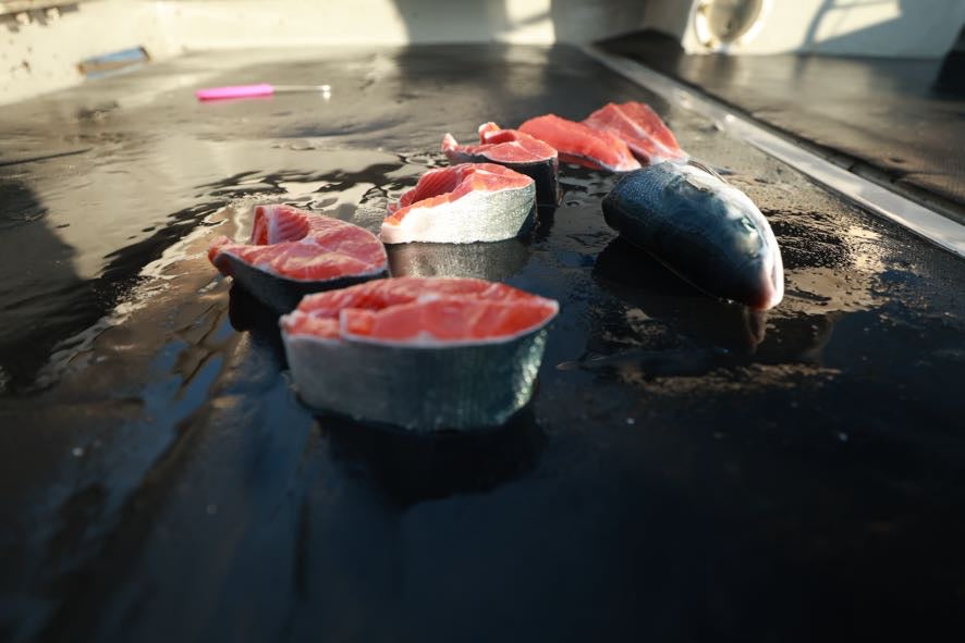 Update from Bristol Bay- Wild Alaska Salmon Season: 7-7-25