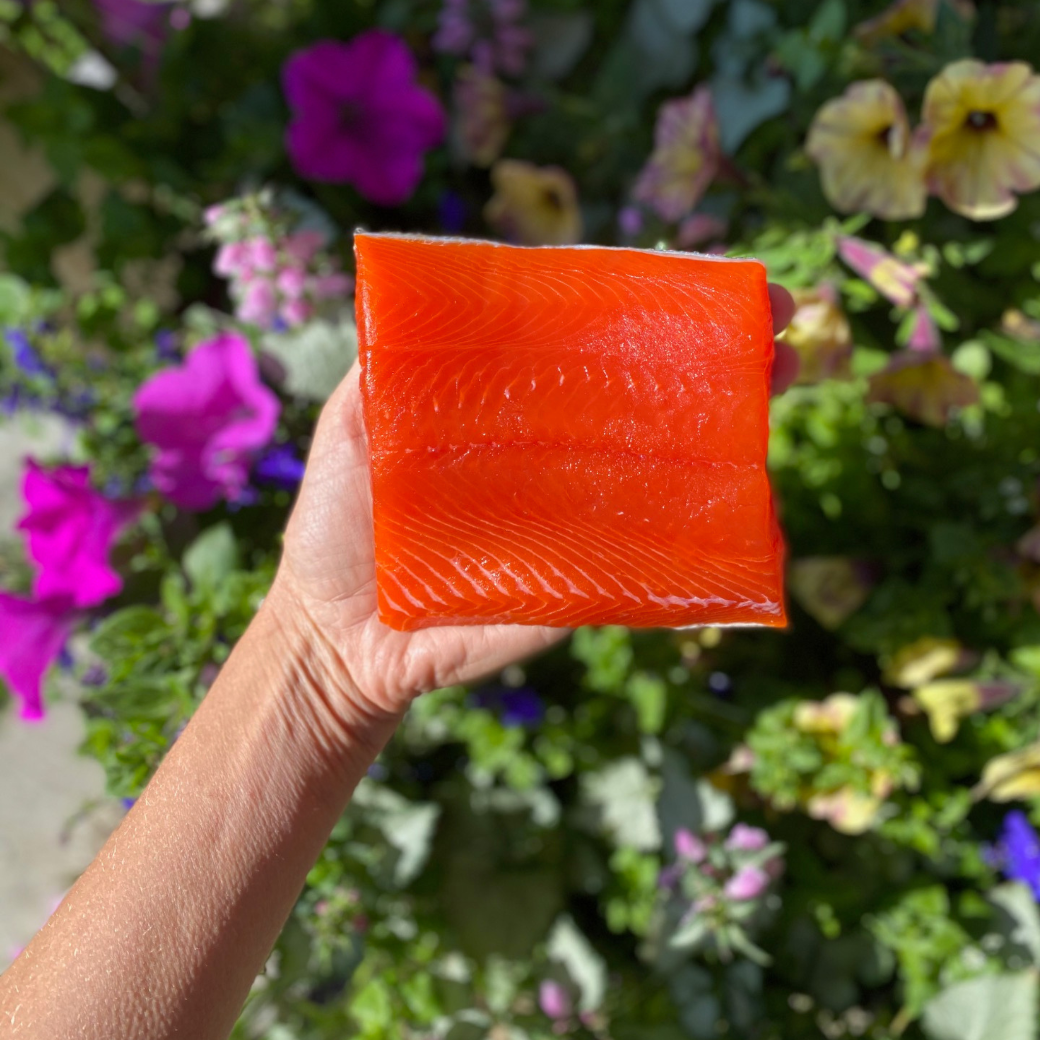 PREORDER Sockeye Salmon 6-8 oz. portions: Our most popular