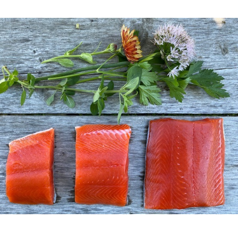 Sockeye Salmon Freezer Filler Boxes: Best value per pound Sockeye Salmon Freezer Filler Boxes: Best value per pound