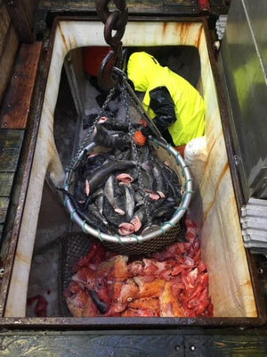 PREORDER Wild Alaska Sablefish (Black Cod)